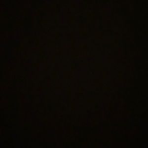 Meet your Posher, Phoebe